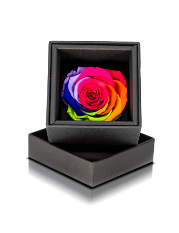 Rosa Stabilizzata Multi Color - Idea Regalo - Fiori Aluisi