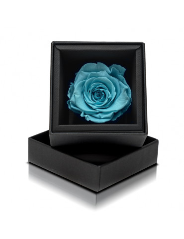 Rosa Stabilizzata Tiffany - Idea Regalo - Aluisi Fiori
