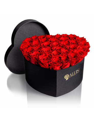 Box Cuore di Rose Rosse Stabilizzate