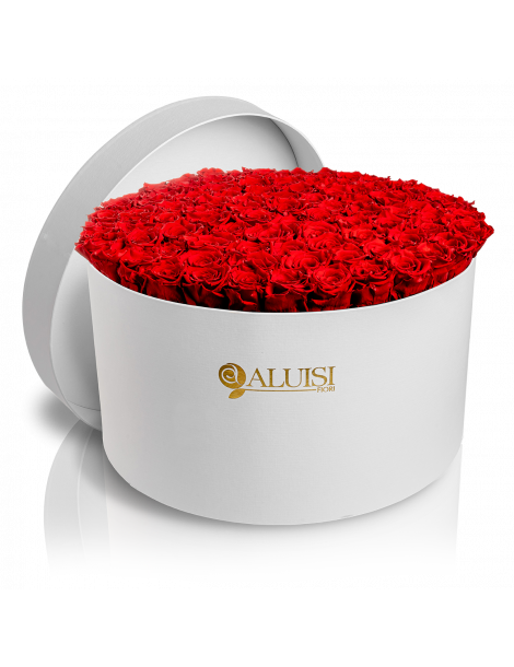 100 Rose Rosse Stabilizzate