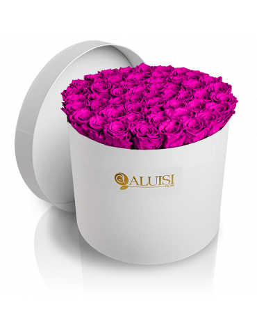 50 Rose Fucsia Stabilizzate