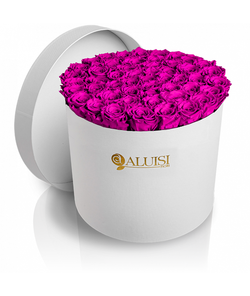 50 Rose Fucsia Stabilizzate