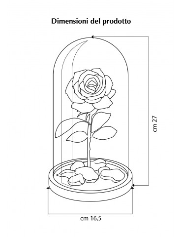 Rosa La Bella e La Bestia Viola