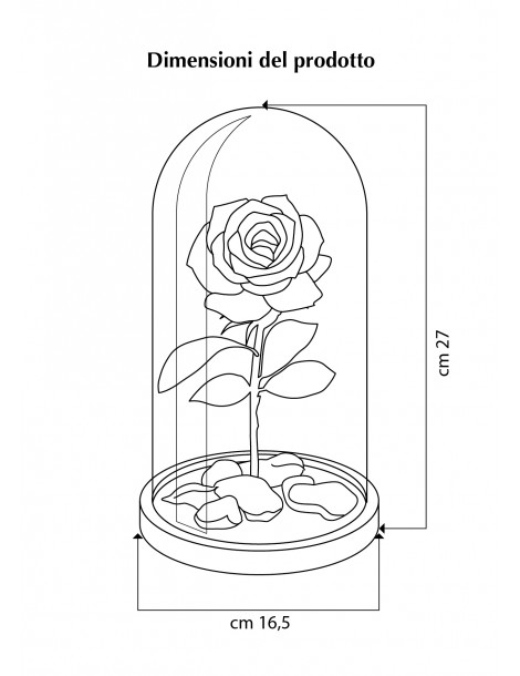 Rosa La Bella e La Bestia Viola