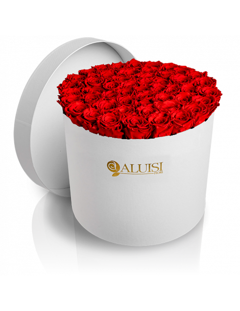 50 Rose Rosse Stabilizzate